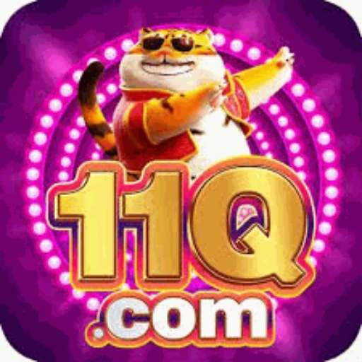 11Q